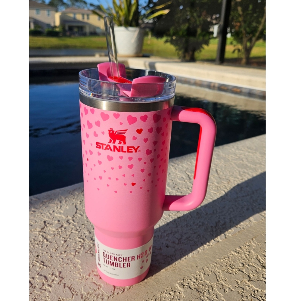 NWT 🎀 Heart Valentine Day Pink & Red Stanley 💕 NWT